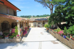 B&B Il Cavallino